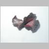 Copper leaf 1.JPG